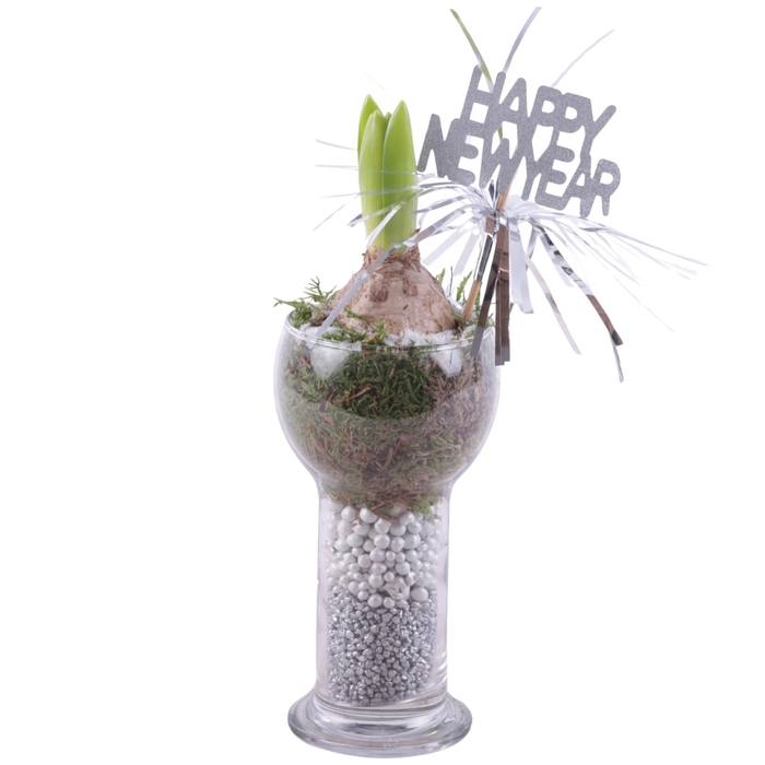 <h4>New Year Arr. Hyacint Glass Sphere Cylinder Vase Ø09cm 1PP</h4>