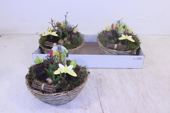 <h4>ARR BOL KNOLGEWAS</h4>