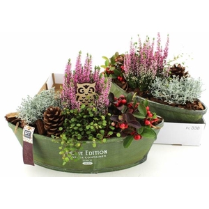 ARR TUINPLANTEN