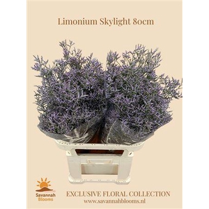 Lim Skylight