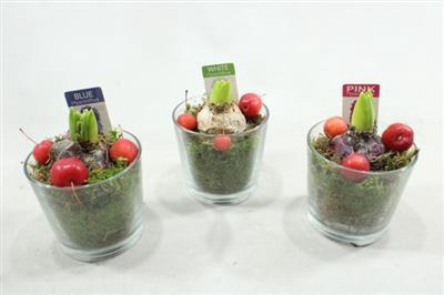 <h4>1101 HYA Pinda-glas</h4>