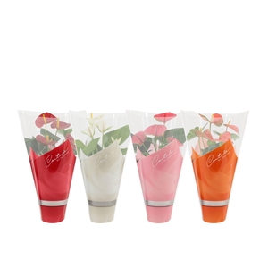 Anthurium 12 cm 4 color mix in Couture sleeve