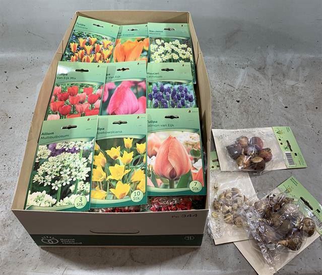 <h4>Flowerbulbs, corns or tubers   ...</h4>