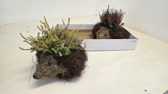<h4>ARR TUINPLANTEN</h4>