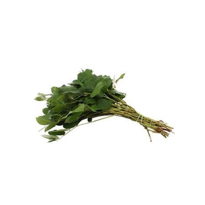 SALAL LONG