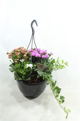 <h4>0964 Hangpot BT</h4>
