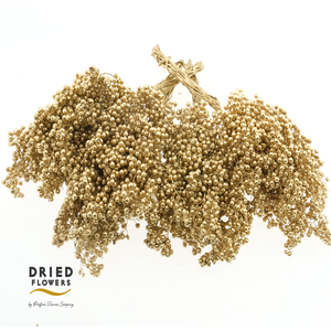 Dried Pepper Berries Gold