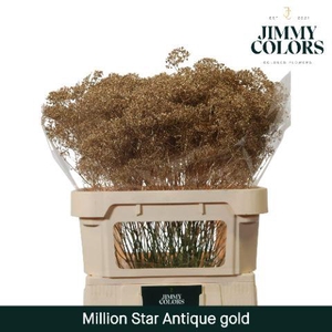 Gyps Million Star L80 Metallic antique gold