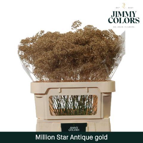 <h4>Gyps Million Star L80 Metallic antique gold</h4>