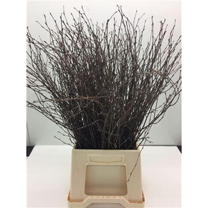 Berk Naturel 60 Cm