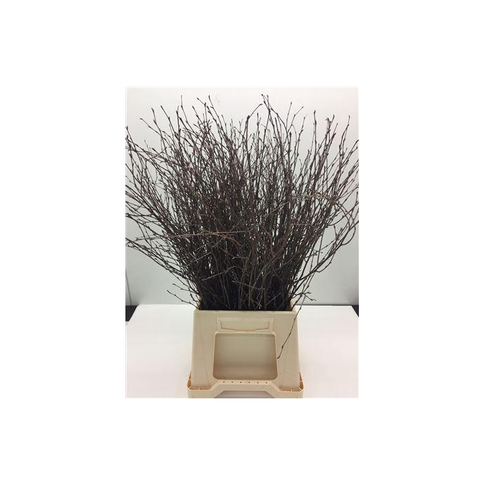 <h4>Berk Naturel 60 Cm</h4>