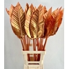 Strelitzia Blad Painted Luxury Copper