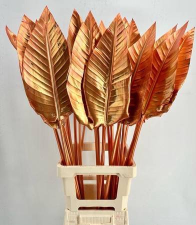 <h4>Strelitzia Blad Painted Luxury Copper</h4>