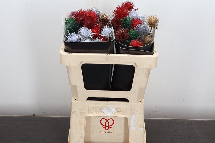 <h4>Eryn Wx 50cm Kerstmix</h4>