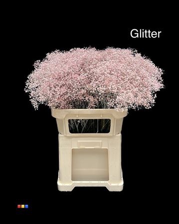 <h4>Gyps Million Star Light Pink + Glit Bio</h4>