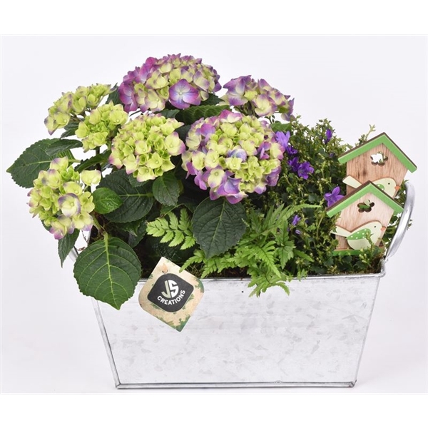 <h4>Zink rechthoek met oor 25,5x16cm</h4>