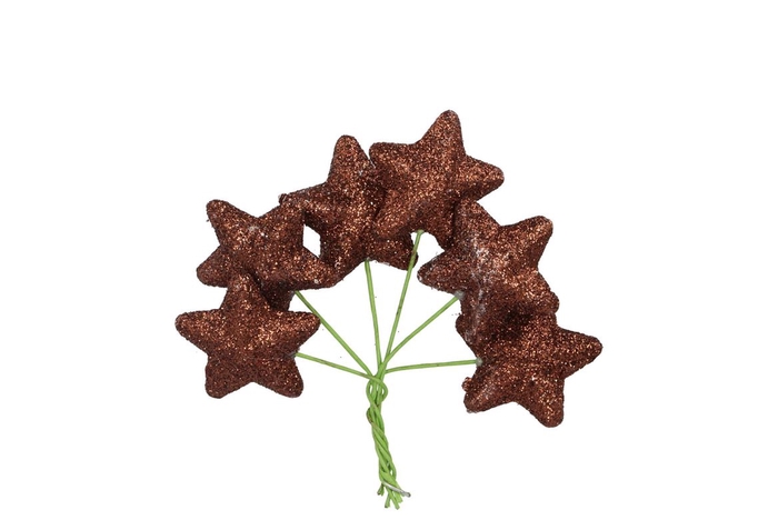 <h4>Pick Shine Star Scottish Copper 4x7cm Per 96</h4>