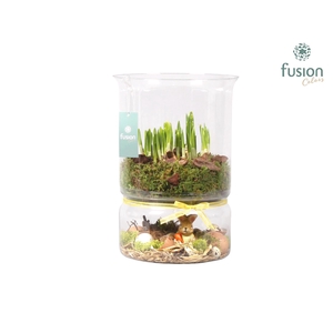 Green Bottle duopot XL met Narcis