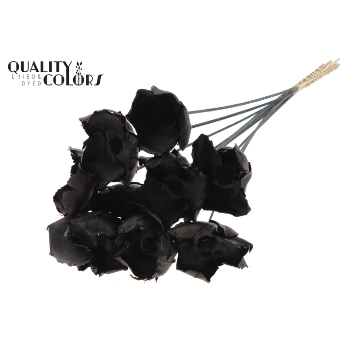 <h4>Palm Cup on stem Black</h4>