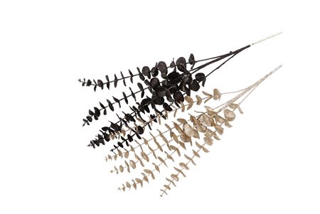 <h4>Pick Shine Eucalyptus Black/champagne 80cm Ass Nm</h4>