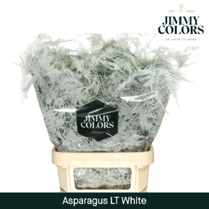 Aspa lang getopt White