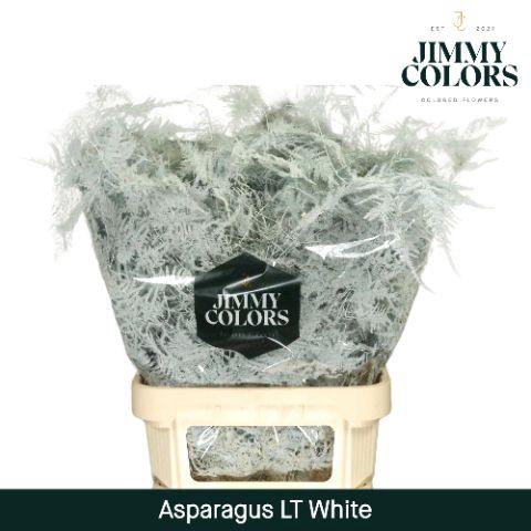 <h4>Aspa lang getopt White</h4>