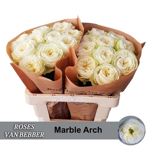 R GR MARBLE ARCH