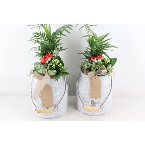 arr2 TD - Zink melkbus - wit