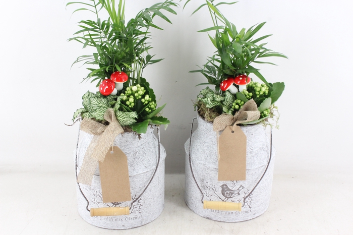 <h4>arr2 TD - Zink melkbus - wit</h4>