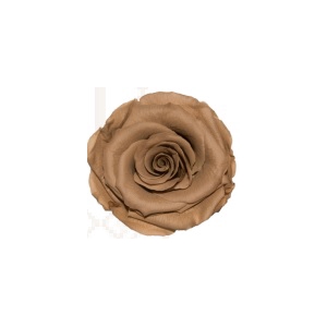 Rose warm tan khaki pres.