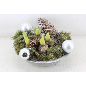 arr4 Hyacint MB - Zink schaal Zilver LED