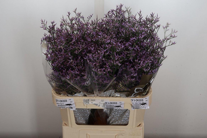 <h4>Lim Saf Lilac 80-35 Klaver</h4>