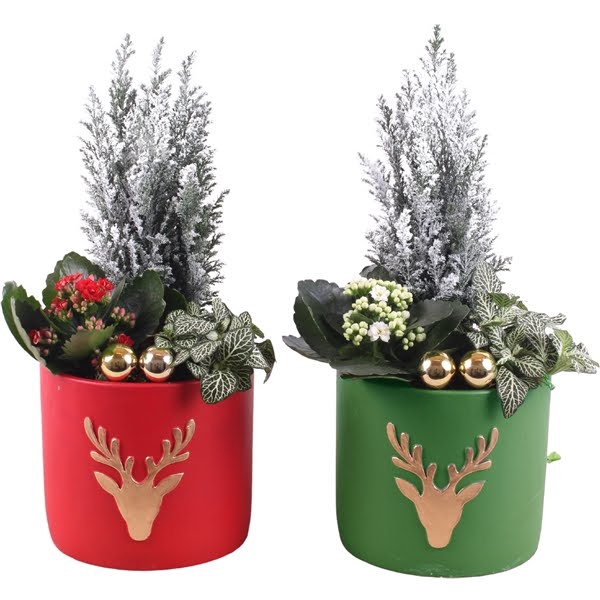 <h4>Christmas Arr.Indoor Ceramic Pot round reindeer red/gre ø17 3PP</h4>