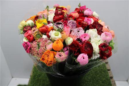 <h4>Ranunculus Eleg Mix Rainbow</h4>