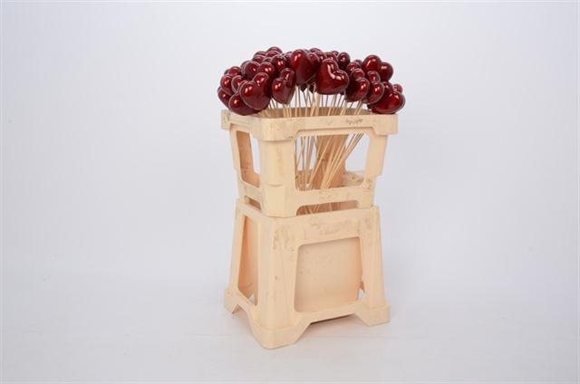 <h4>HUIS EN TUINDECO H%</h4>