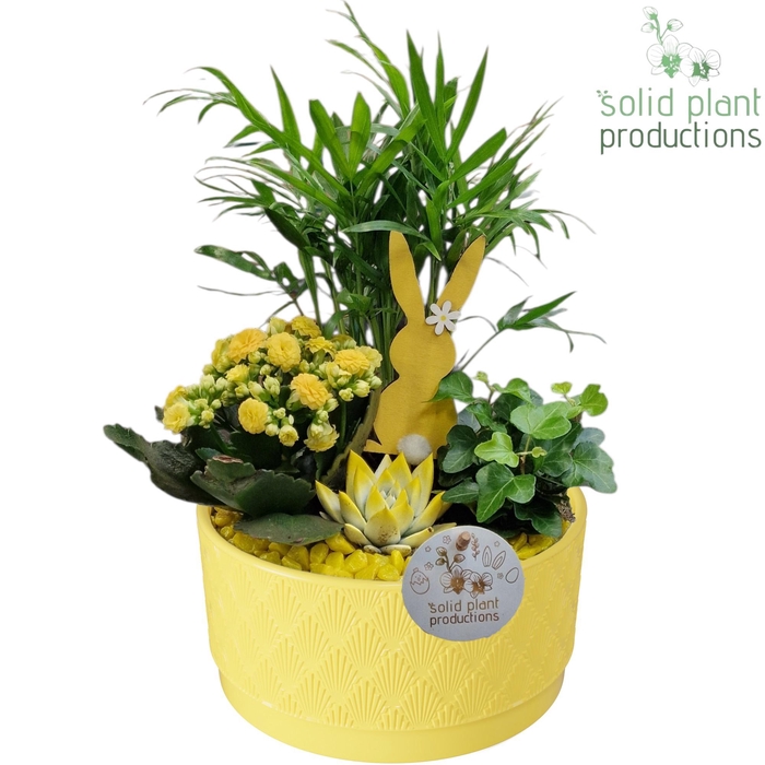 <h4>CE003 Loes Yellow Easter</h4>