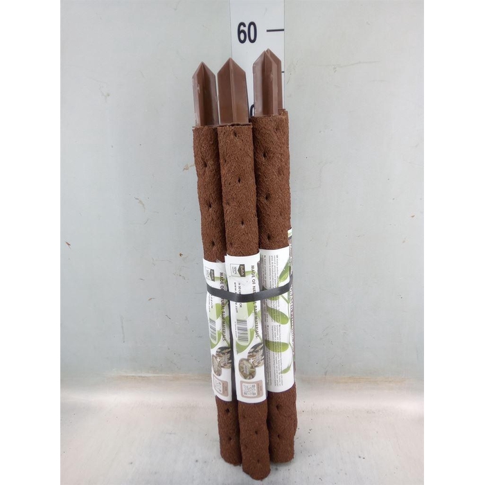 <h4>Decoratie ..Klimstok composteer H%</h4>