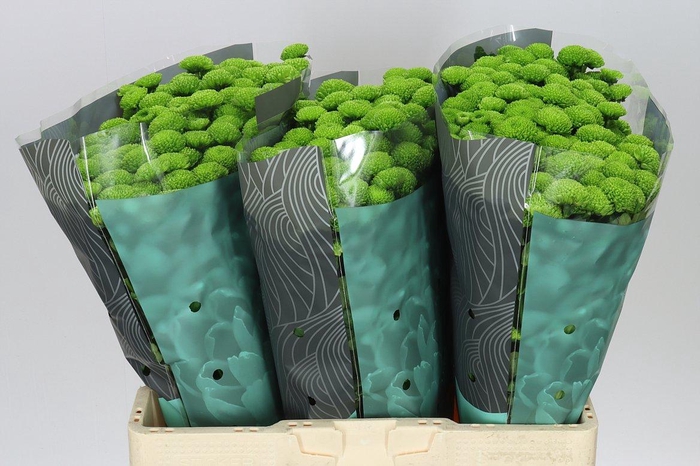 <h4>Sant Country</h4>