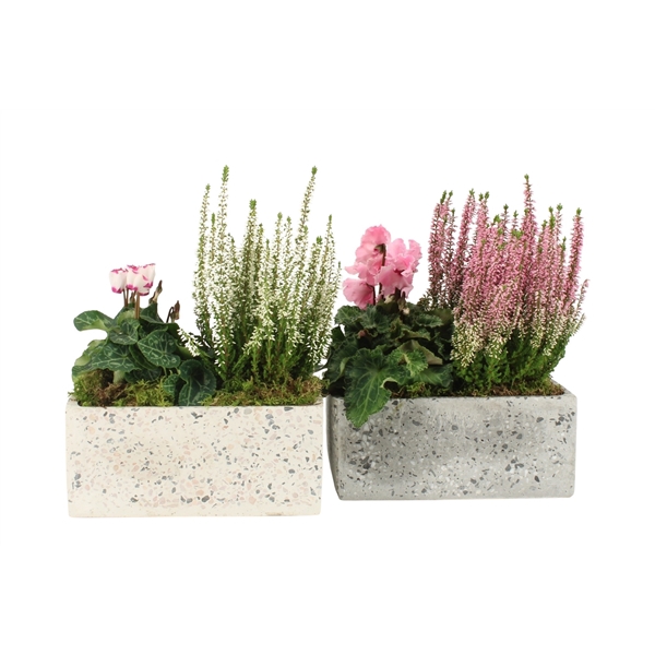<h4>41603: Outdoor autumn arrangement</h4>