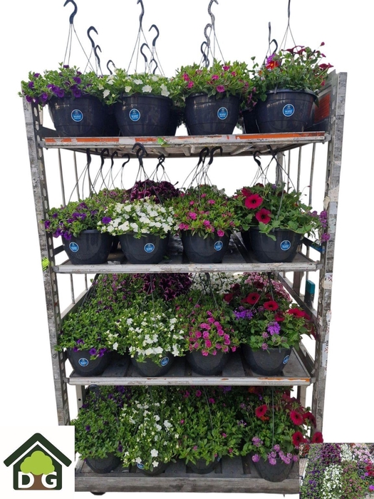 <h4>OVERIGE PERKPL</h4>