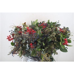 Bouquet Italie Mixed Berry P Bunch