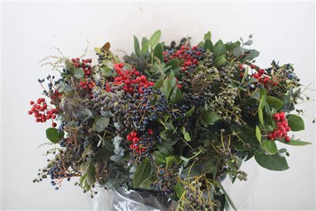 <h4>Bouquet Italie Mixed Berry P Bunch</h4>