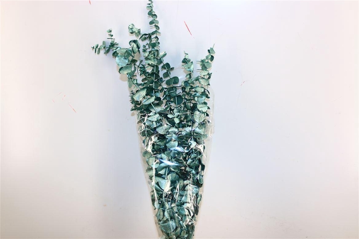 <h4>Pres Euca Baby Blue Metal Green Bunch</h4>