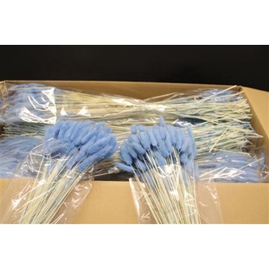 Lagurus Licht Blauw X30