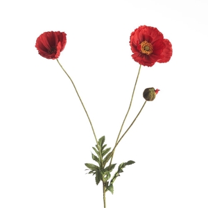 AF Papaver L75cm Red