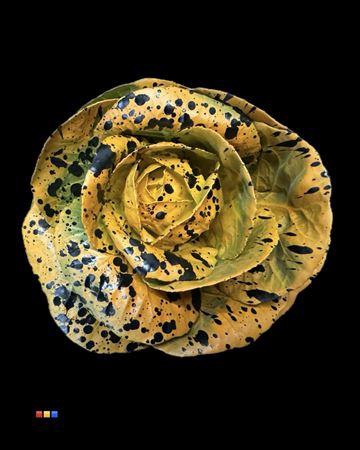 <h4>Brassica Orange + Splash Black</h4>