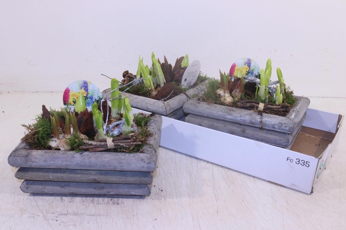 <h4>ARR BOL KNOLGEWAS</h4>