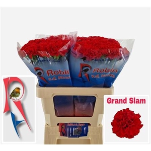 Di St Grand Slam