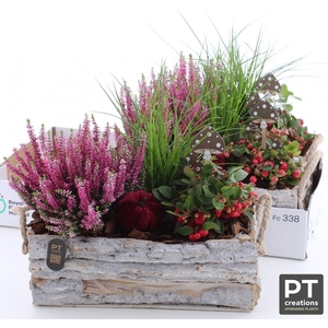 ARR TUINPLANTEN
