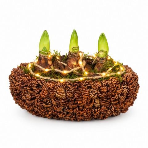 <h4>PTAA8861 Arrangementen Hippeastrum</h4>